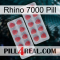 Rhino 7000 Pill 19